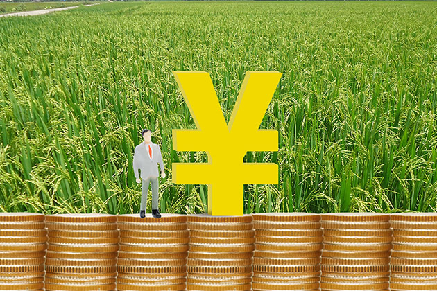 農產品批發市場優惠政策全解析