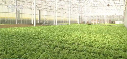 科技賦能，鮮活水產品提質增效 新裝備引領現代農業新篇章