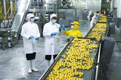 中國預制菜產業全面起航 賦能農業升級，打造舌尖上的新經濟
